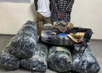 Thiaroye-sur-Mer : 300,5 kg de chanvre indien saisis par la Brigade de recherches de Keur Massar