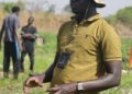 Aflatoxine dans le riz consommé au Sénégal: Pas de panique.Il suffit de revoir les conditions de conservation de cet aliment.