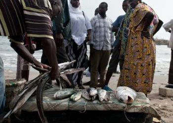 Agression à Ngaye Mekhé: une vendeuse de poisson grièvement blessée